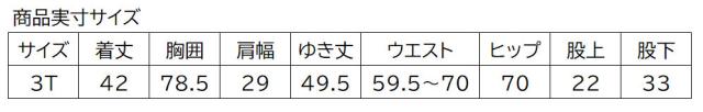 コロンビア キッズ スノーウェア スキーウェア ダブルフレークIIセット SC5101-455-3T_4