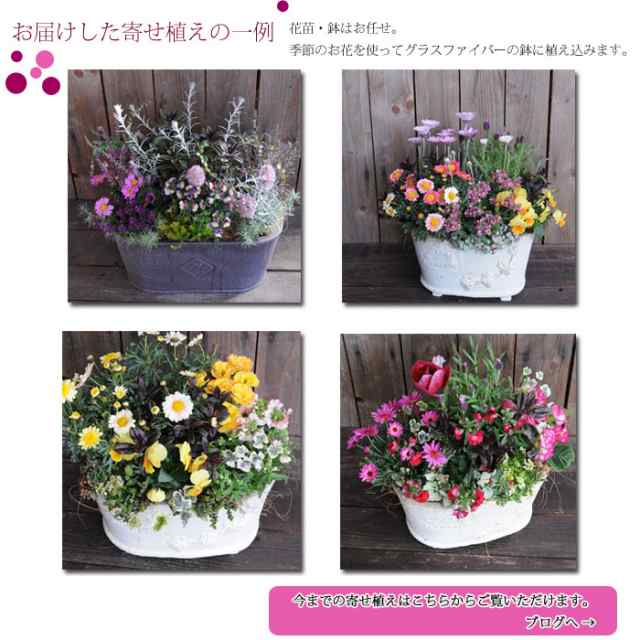 sweetbasket グラスファイバー鉢 春のガーデニングに お花寄せ植え