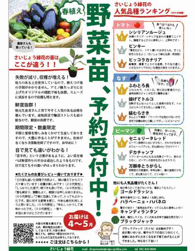 予約苗 野菜苗 キュウリ シャキット 接木苗 1pot 納期指定不可 接木の通販はau Pay マーケット さいじょう緑花