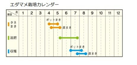 予約苗 野菜苗 エダマメ 枝豆 おつなひめ 実生苗 1pot 納期指定不可 登録品種名三郷wa1 登録番号 の通販はau Pay マーケット さいじょう緑花