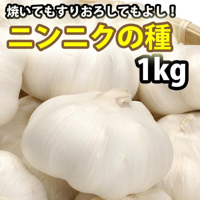 予約商品 国産ニンニクの種 にんにく 1kg 充填時 安心 の通販はau Pay マーケット さいじょう緑花