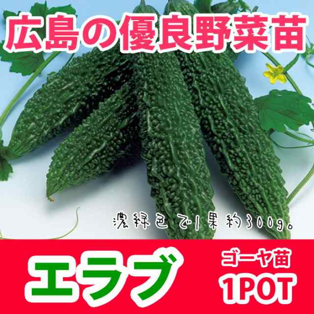 予約苗 野菜苗 ゴーヤ ニガウリ エラブ 苗 1pot 納期指定不可 の通販はau Pay マーケット さいじょう緑花