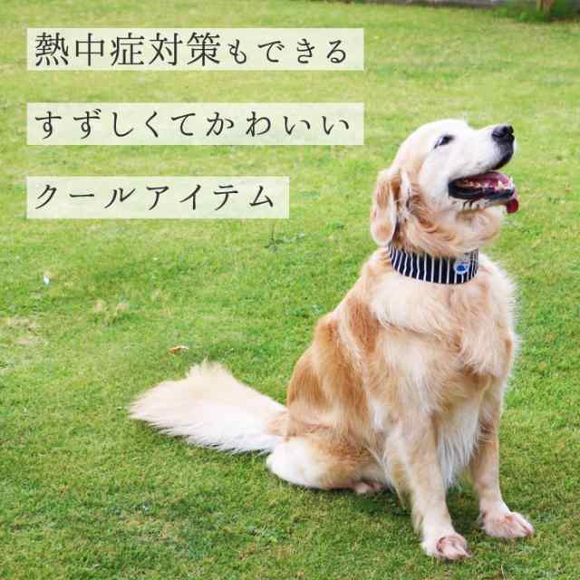 犬 犬服 夏 クール 涼しい 冷感 熱中症対策 クールバンダナ専用替え保冷ソフトジェルパック ｌｌ ポンポリース 5792の通販はau Pay マーケット ペット用品専門メーカー ポンポリース