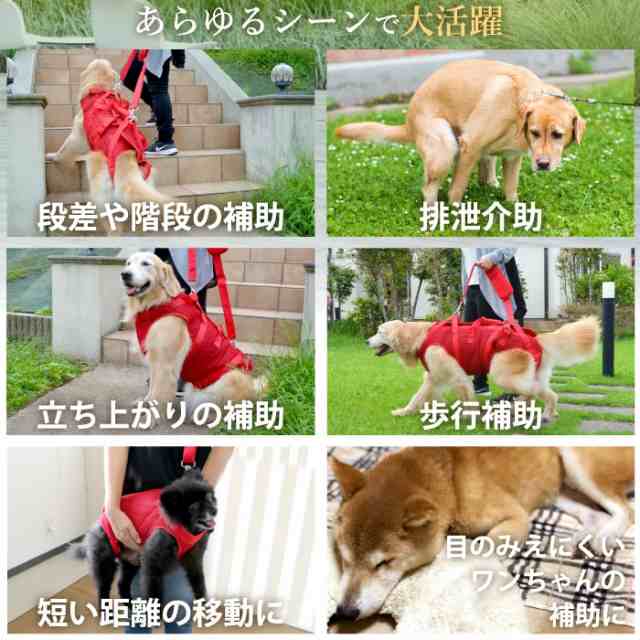 中 大型犬用オス メス兼用 メッシュ3wayケアハーネス 7号 ポンポリース 5849の通販はau Pay マーケット ペット用品専門メーカー ポンポリース