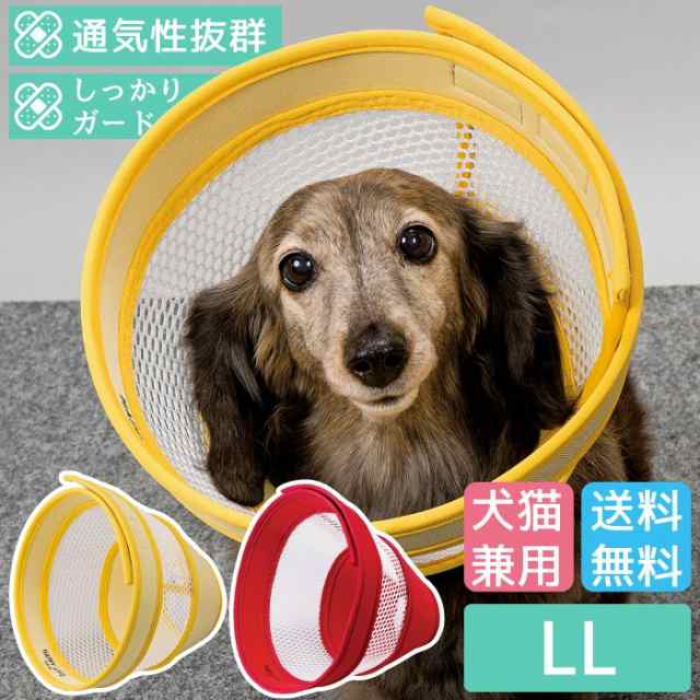 欠品カラー再入荷 送料無料 介護 エリザベスカラー ソフト 犬 猫 ペット 軽量 柔らかい やわらか 傷舐め 足舐め 防止 保護 術後服の代わりに 通気性抜群 犬 まとめ買い歓迎 Www Centrodeladultomayor Com Uy