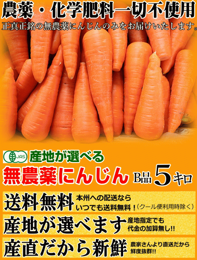 ポイント2倍♪出荷中 産地が選べる無農薬にんじん 5キロ 訳あり 送料