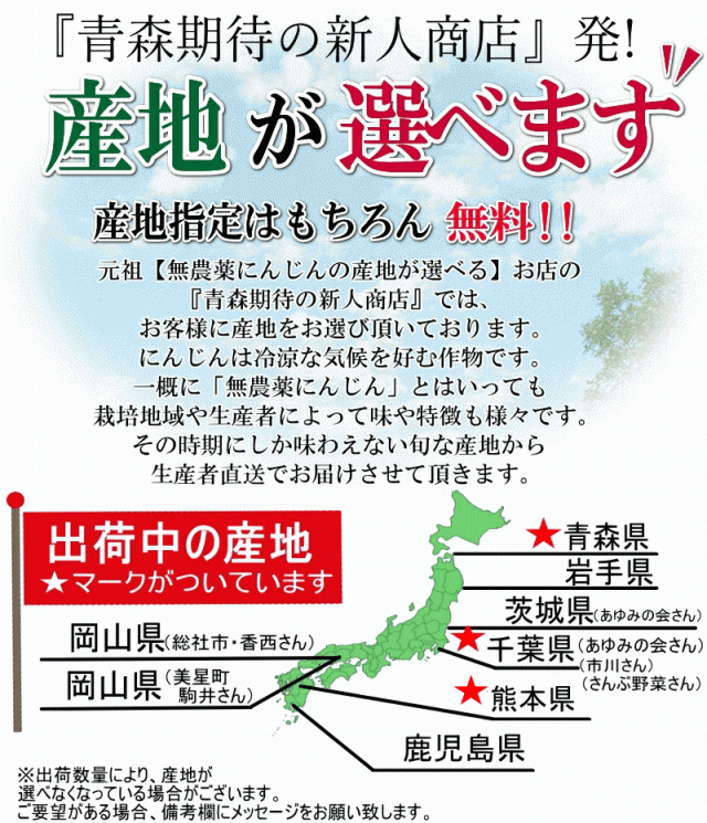 にんじん 人参 規格外品 10㎏ 送料込 茨城県産 農家直送 ジュース用