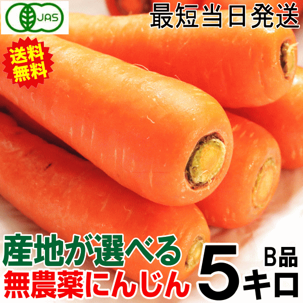 ポイント2倍♪出荷中 産地が選べる無農薬にんじん 5キロ 訳あり 送料