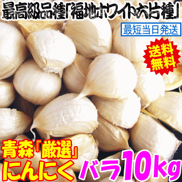 ジャンボにんにく国産バラ状態10kg ニンニク - 野菜