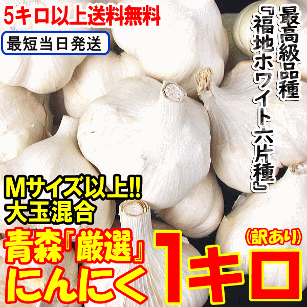 5kg以上送料無料】新物出荷中！にんにく 1kg 青森 訳あり 並級/C品 M