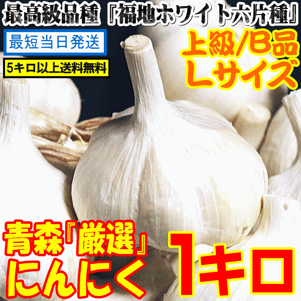 お試しセール中☆にんにく 青森 上級品/B品 1kg Ｌサイズ 国産 ニンニク 1キロ 青森厳選にんにくＢ品Ｌサイズ1kg 中国産と比べての通販はau  PAY マーケット - 青森期待の新人商店