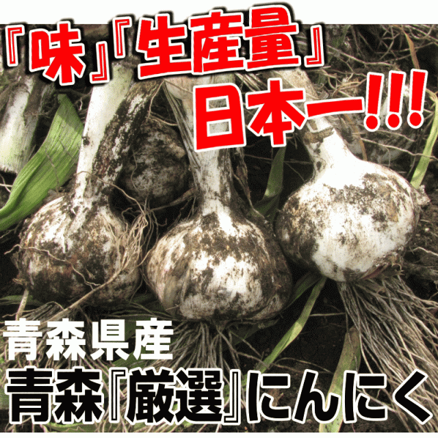 青森 にんにく 1kg (500g×2個) バラ 送料無料 国産 ニンニク 1kg ネット詰め 中国産と比べて！の通販はau PAY マーケット -  青森期待の新人商店