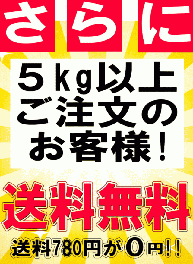 にんにく 1kg 青森 訳あり 並級/C品 Mサイズ以上大玉混合 国産 ニンニク 中国産と比べて！の通販はau PAY マーケット - 青森 期待の新人商店