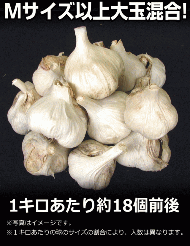 にんにく 1kg 青森 訳あり 並級/C品 Mサイズ以上大玉混合 国産 ニンニク 中国産と比べて！の通販はau PAY マーケット - 青森 期待の新人商店