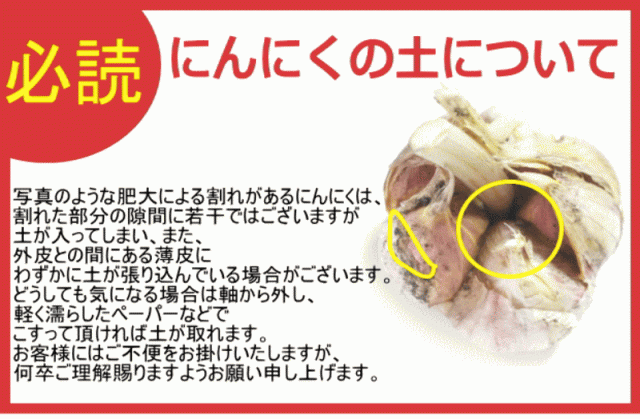 5kg以上送料無料】新物出荷中！にんにく 1kg 青森 訳あり 並級/C品 Mサイズ以上大玉混合 国産 ニンニク 中国産と比べて！の通販はau PAY  マーケット - 青森期待の新人商店 | au PAY マーケット－通販サイト