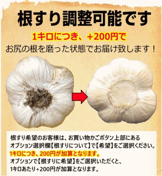 青森 にんにく 1kg 訳あり 並級/C品 Mサイズ以上大玉混合 国産