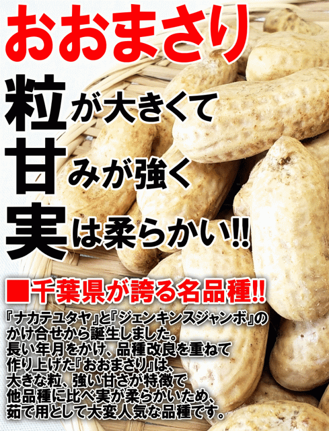 出荷中】千葉県産 生落花生 おおまさり 1kg 茹で用【送料無料】有機