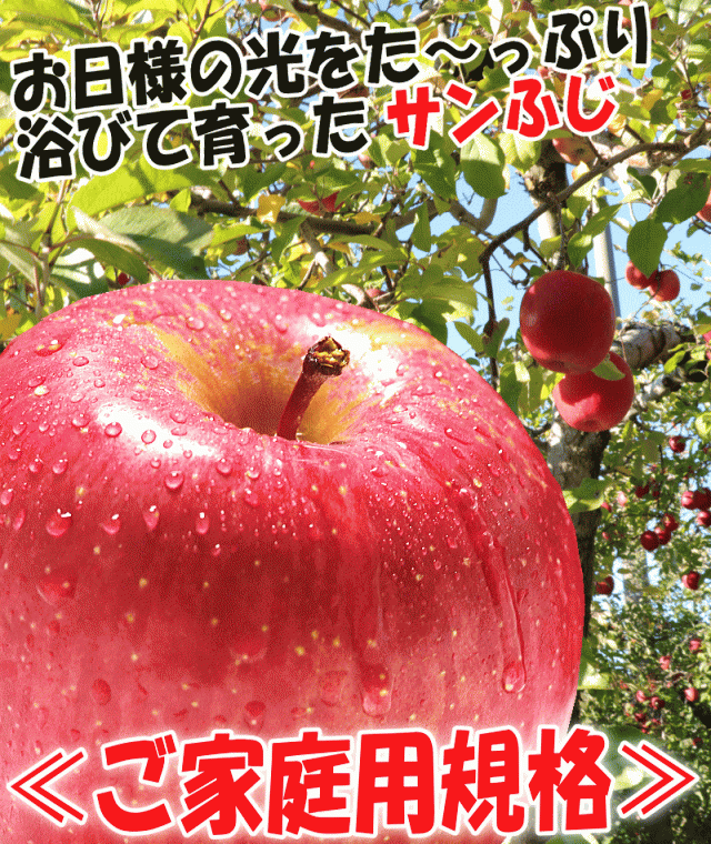 予約価格】青森 りんご 10kg箱 サンふじ ご家庭用 りんご 10キロ箱 ...