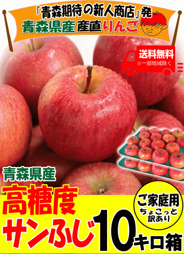 青森 りんご 10kg箱 サンふじ ご家庭用/訳あり【クール便】りんご 訳 