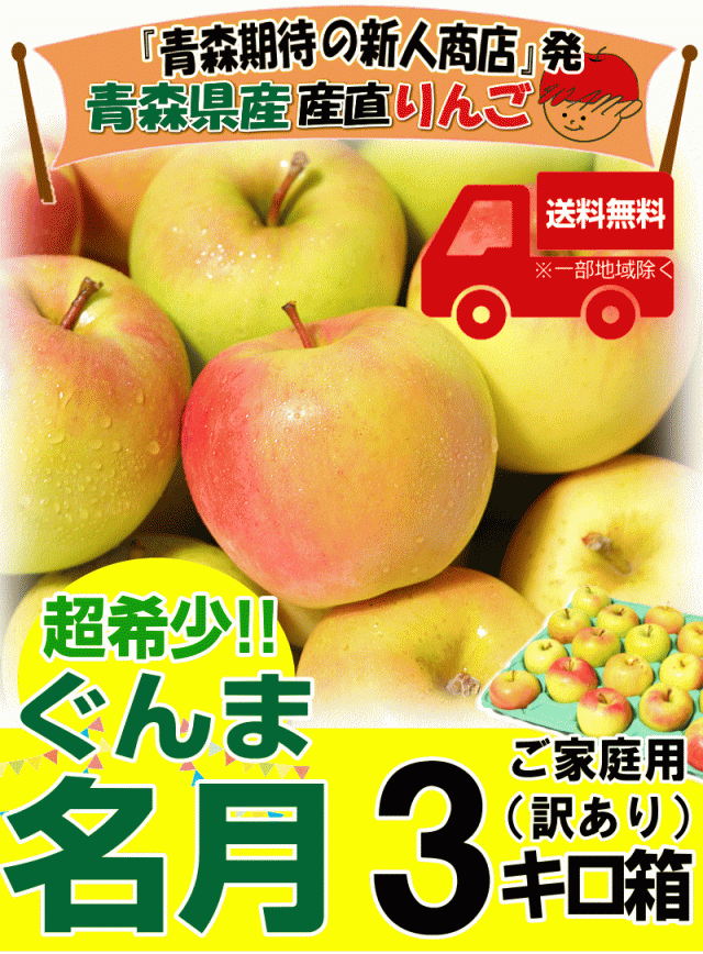 秋田県産りんご ふじ 10kg+1kg ご家庭用 訳アリ - 果物