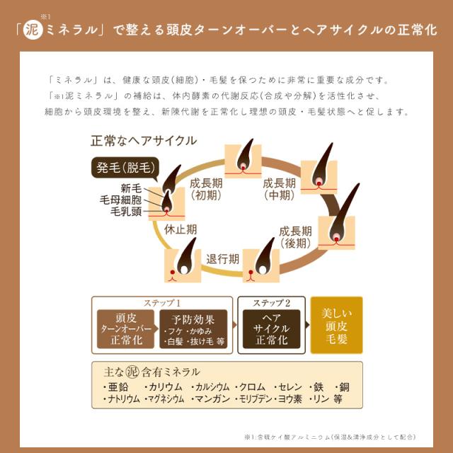 送料込] (詰替用) マッド ナチュラルシャンプー (リフィル) 3000mL×2