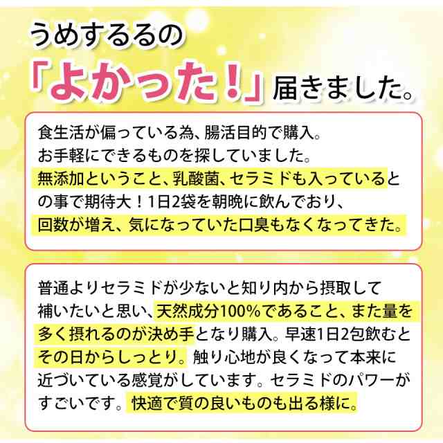 ＼ポイント2倍 11日1:59迄／ セルロース 粉末 不溶性食物繊維 食物繊維 パウダー 糖質制限 ダイエット ロハスタイル LOHAStyle