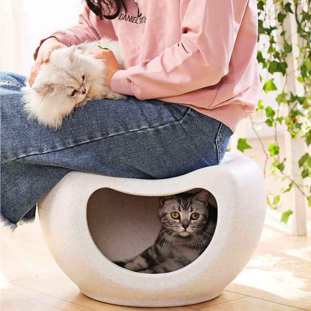 猫ハウス 猫用 ベッドベッド キャットハウス 小型犬 子猫 椅子 インテリア Pp樹脂 家具 汚れに強い 48 31 29cmの通販はau Pay マーケット Sunshine Akida