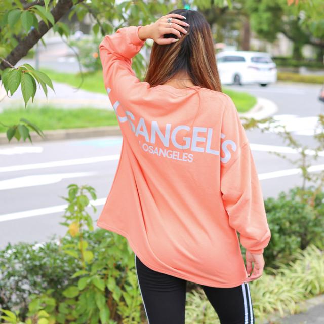 秋冬 レディース オーバーサイズ Bigサイズ ダボダボ ロング丈 ストリート サーフ ピンク Pink ブラック バックプリント トレーナー スウの通販はau Pay マーケット Pluuhall Au Pay マーケット店