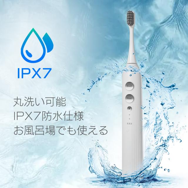 電動歯ブラシ 音波式 歯垢除去 高速振動 IPX7 防水 本体 充電式 口腔 