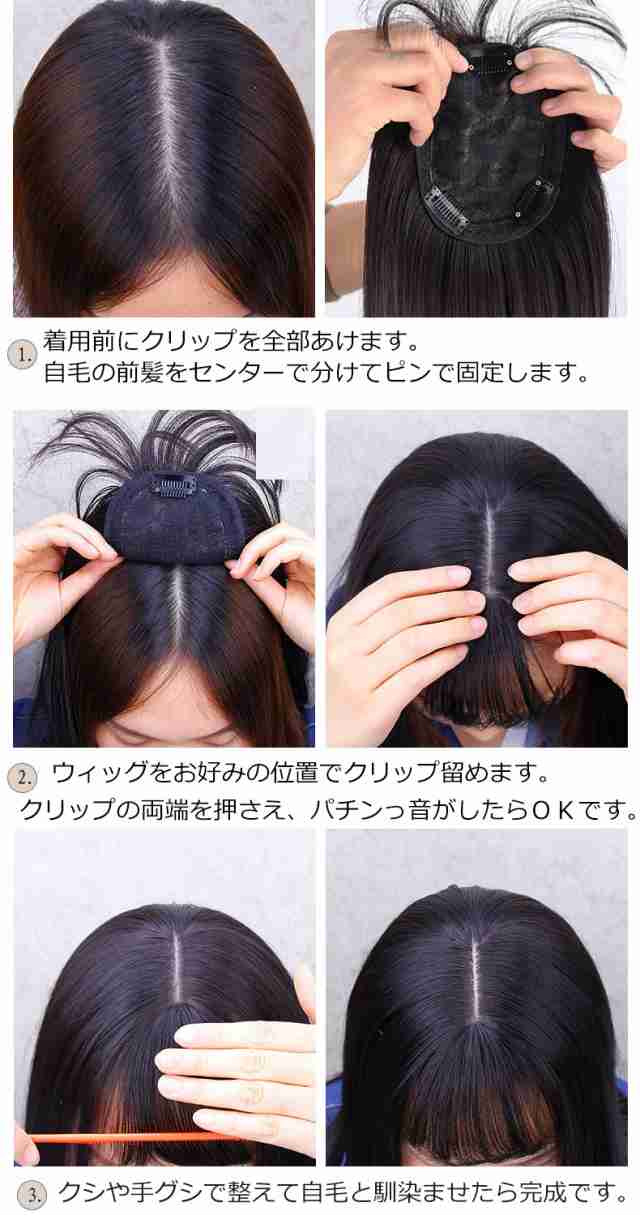 3Dヘアピース ウィッグ ブラック 白髪 つむじ 薄毛 ① - ウィッグ