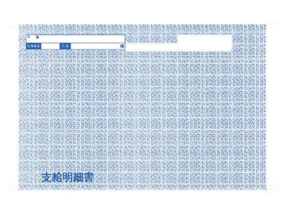 OBC 袋とじ支給明細書(縦型) 6052 300枚 6052