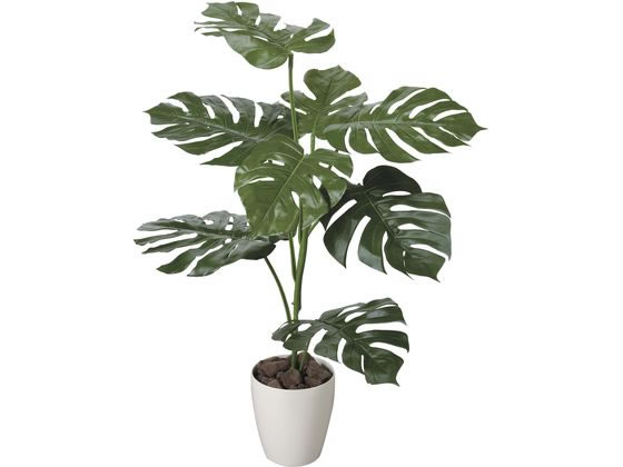 羅本製所 ROBIN miniart Euphorbia decidua 羅本製所 ROBIN miniart