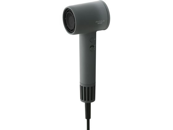 【速乾ドライヤー】ワンダム　プラズマイオンヘアドライヤー　BLOW+Speed 楽天市場】送料無料！［RSL］ワンダム ドライヤー BLOW + Speed