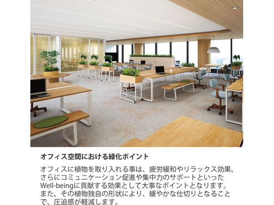 イトーキ フロウラウンジ 3シーターベンチ セピアブラウン ブラックフレームの通販は