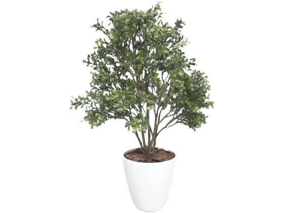 ササガワ 人工観葉植物 ボックスウッド Mサイズ 高さ70ｃｍ