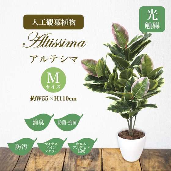 ササガワ 人工観葉植物 アルテシマ Mサイズ 高さ110ｃｍ