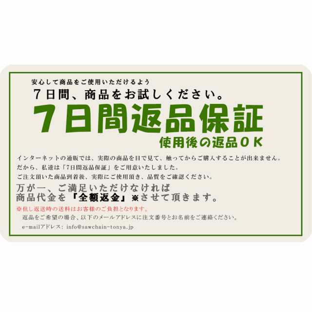 むとひろ 高剛性 ガイドバー 100ATXA041 10インチ(25cm) 25AP-60E対応 竹・木材用 カービングバー ハードノーズバー  チェーンソー ブレーの通販はau PAY マーケット - ソーチェン問屋むとひろ