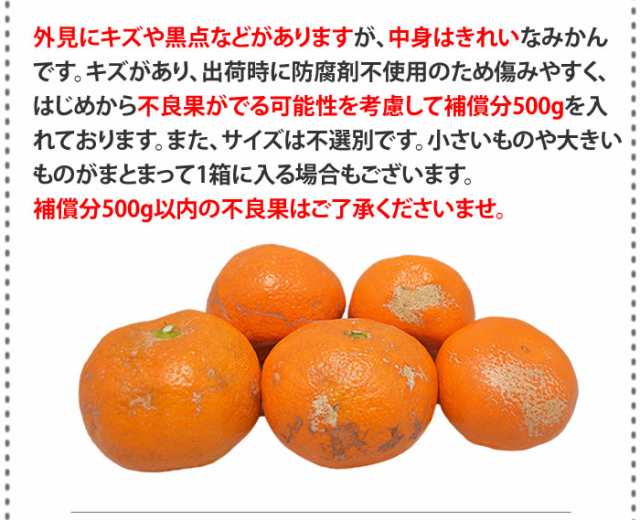 マーケット店　10kg　規格外　内容量9kg+補償分500g　サイズ不選別　ご自宅用　訳あり　PAY　マーケット－通販サイト　熊本県産　ポイント消化の通販はau　ミカン　蜜柑　au　マーケット　PAY　熊本グルメ市場　au　PAY　みかん　送料無料