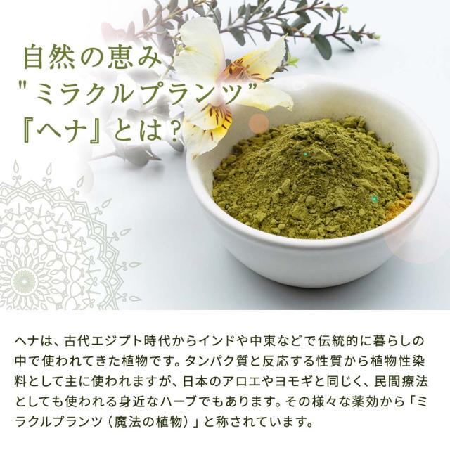 オイルで洗い、ヘナで潤す「健康のためのヘアケア」カルナリッチ スカルプローション_5