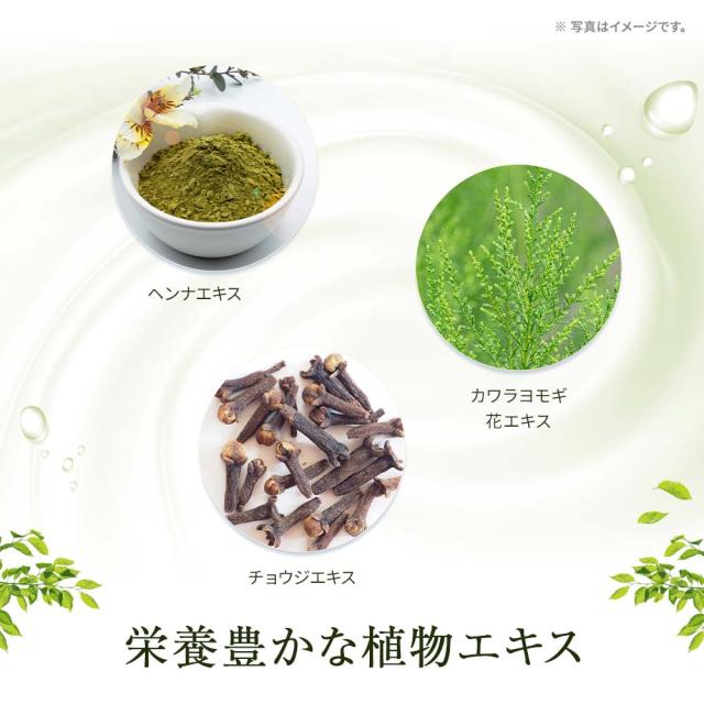 オイルで洗い、ヘナで潤す「健康のためのヘアケア」カルナリッチ スカルプローション_8