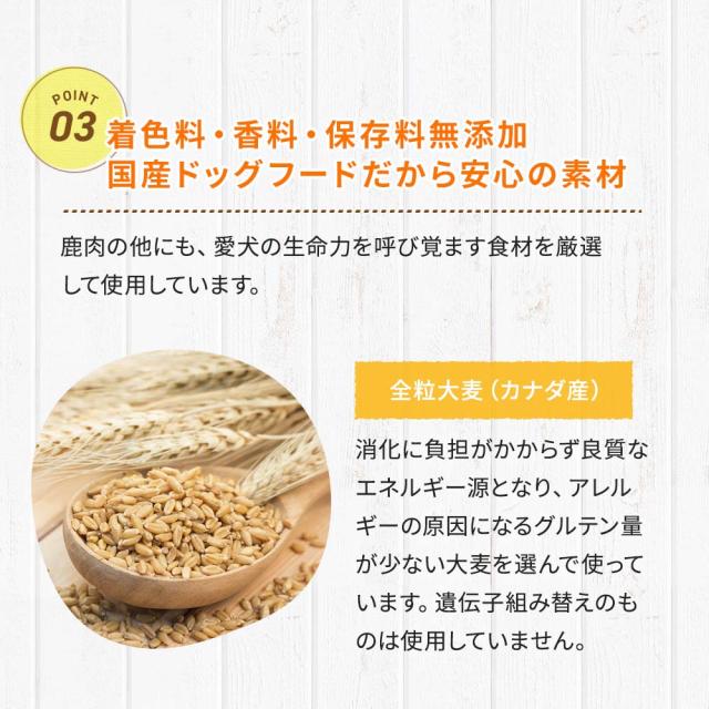 DOG STANCE 鹿肉麹熟成800g入り×3袋セットの通販はau PAY