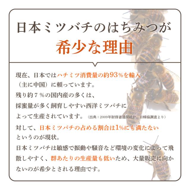 UU ニホンミツバチ 蜂蜜 濃厚 天然はちみつ 2本セット 国産 非加熱 