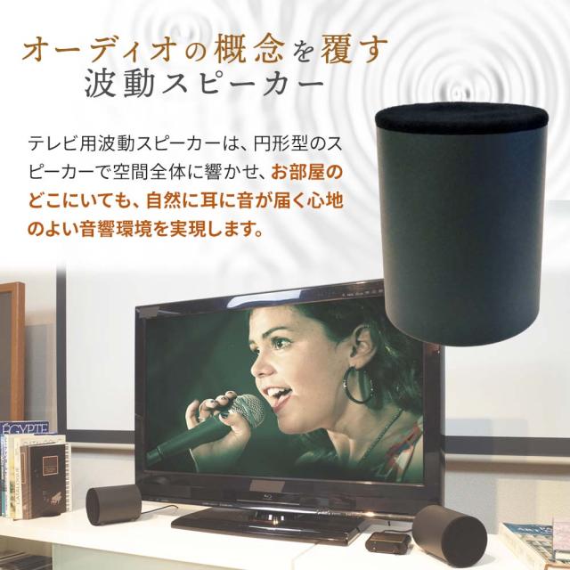 テレビ用波動スピーカー MTVS【公式通販】