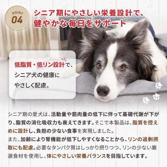 DOGSTANCE 鹿肉和漢シニア800g×3袋 送料無料の通販はau PAY マーケット