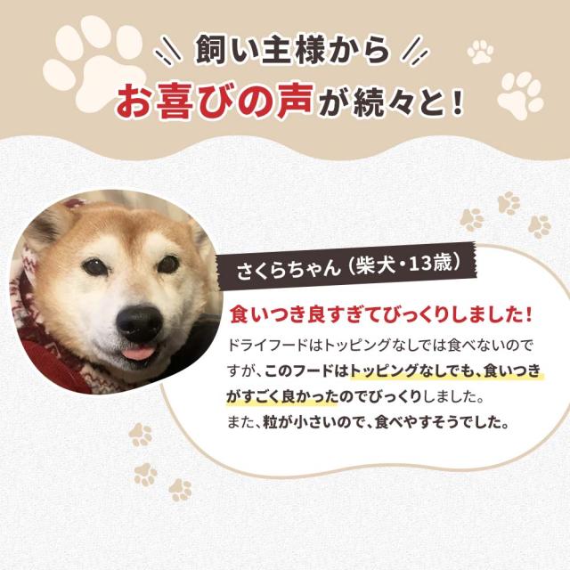 DOGSTANCE 鹿肉和漢シニア800g×3袋 送料無料の通販はau PAY マーケット