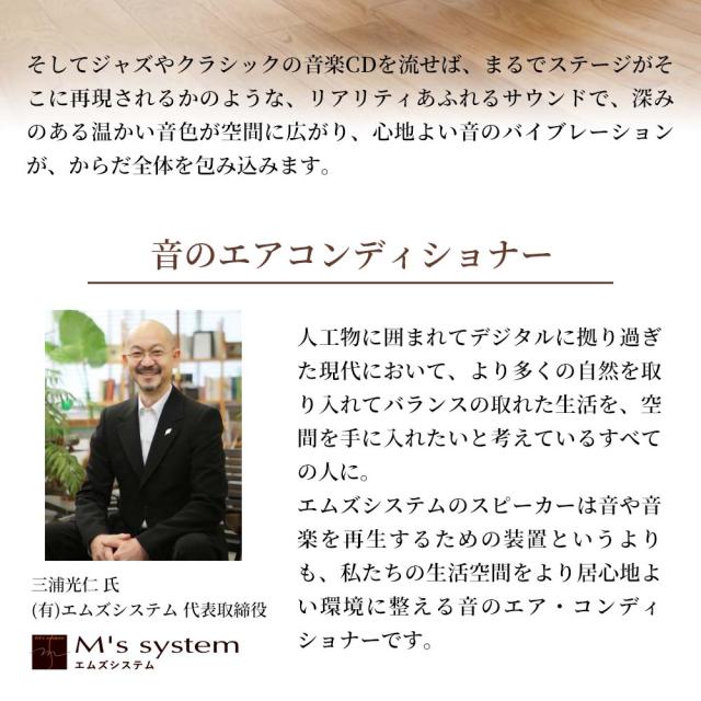 エムズシステム 波動スピーカー用 3系統スイッチャー WSH1003 送料無料_7