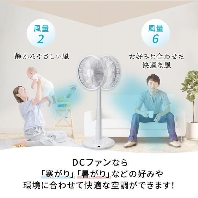 ゼンケン DCファン DC扇風機＋サーキュレーター 3Dターン デュアルモード リモコン オールシーズン