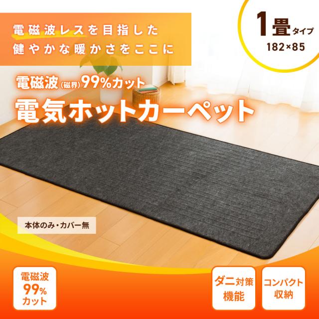 電磁波カット ホットカーペット 1畳タイプ(本体のみ・カバー無) ZCB-10S