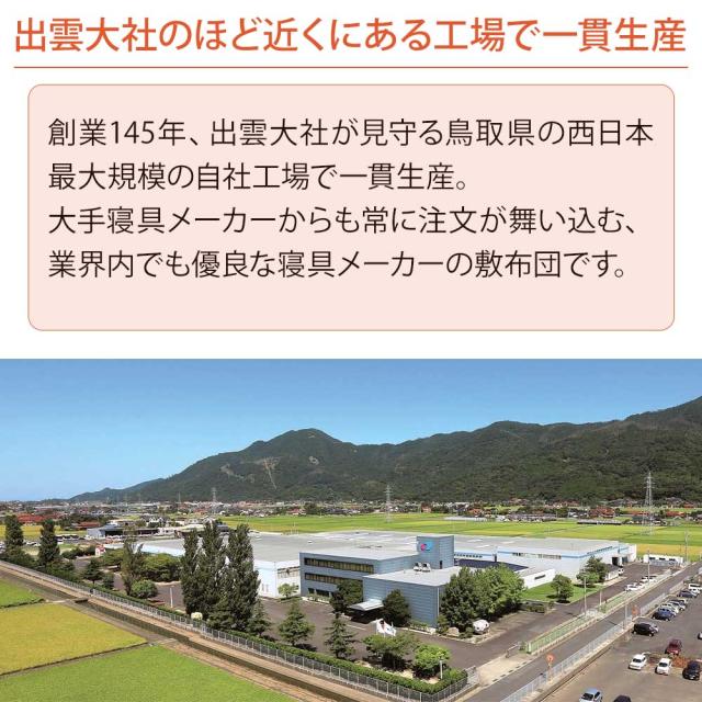 出雲の敷き布団 B-AIR PRO ダブル_14