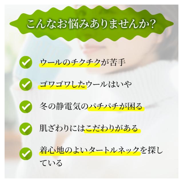 TAKEFU ヤク リブタートル_1